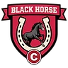 Black Horse 'C' Walcote badge